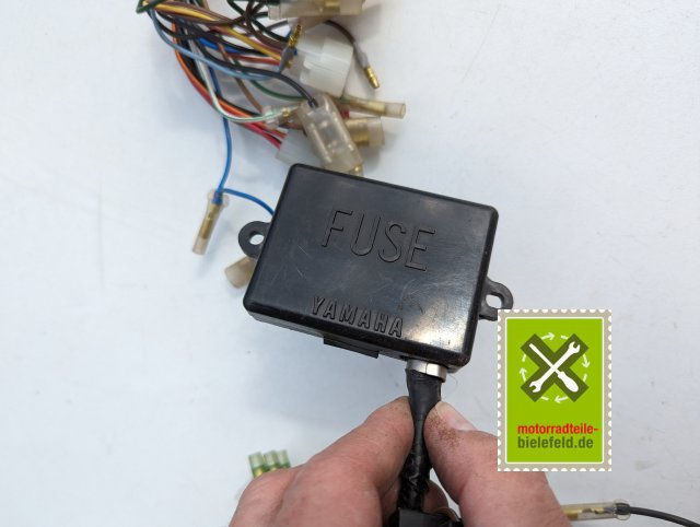 PXL_20240528_144322655